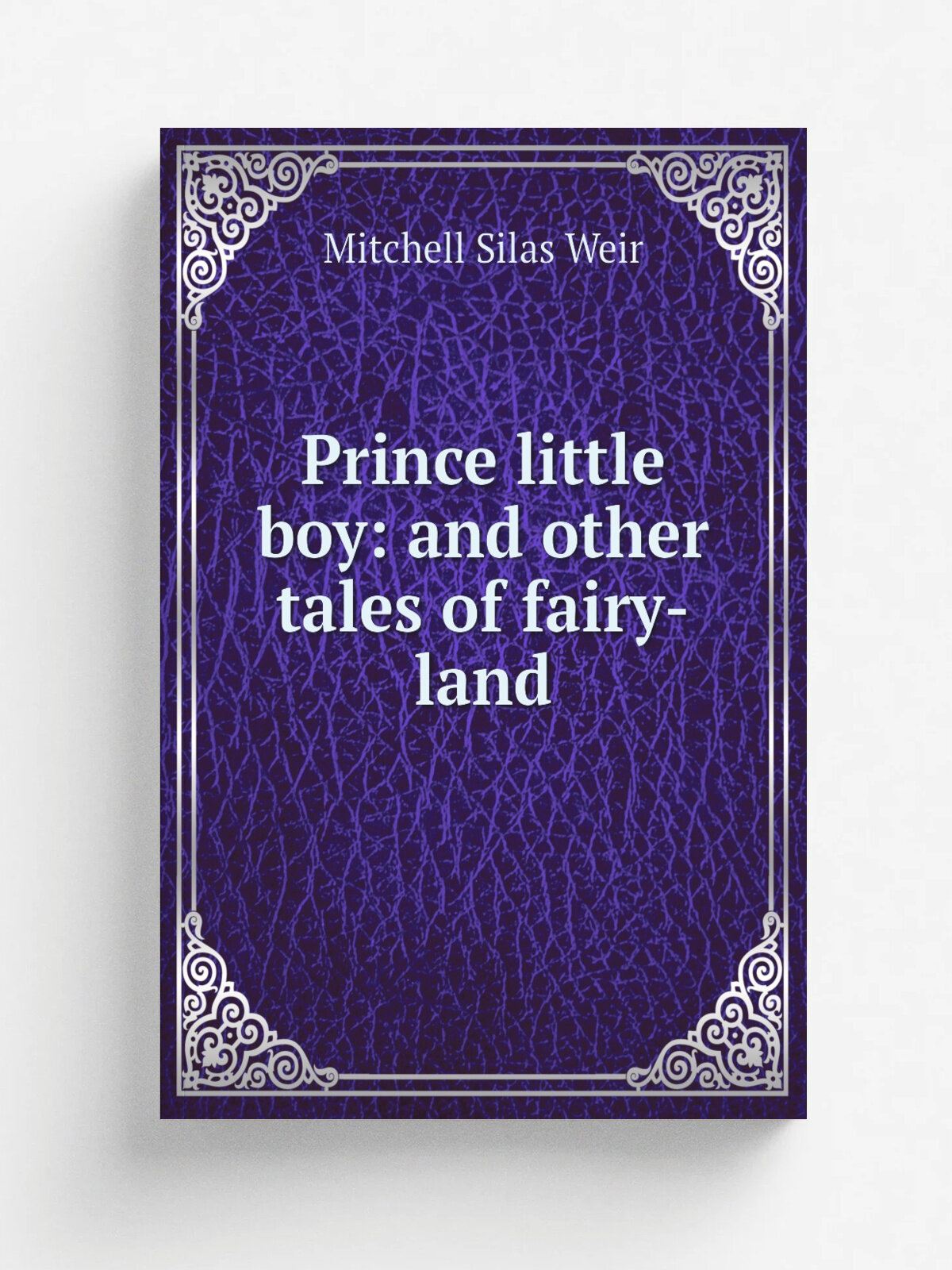 Prince little boy: and other tales of fairy-land