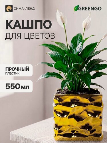 Изображение товара Декоративное кашпо для цветов «Квадро», пластиковое, 550 мл, 8×8×8 см, золотистое, Greengo