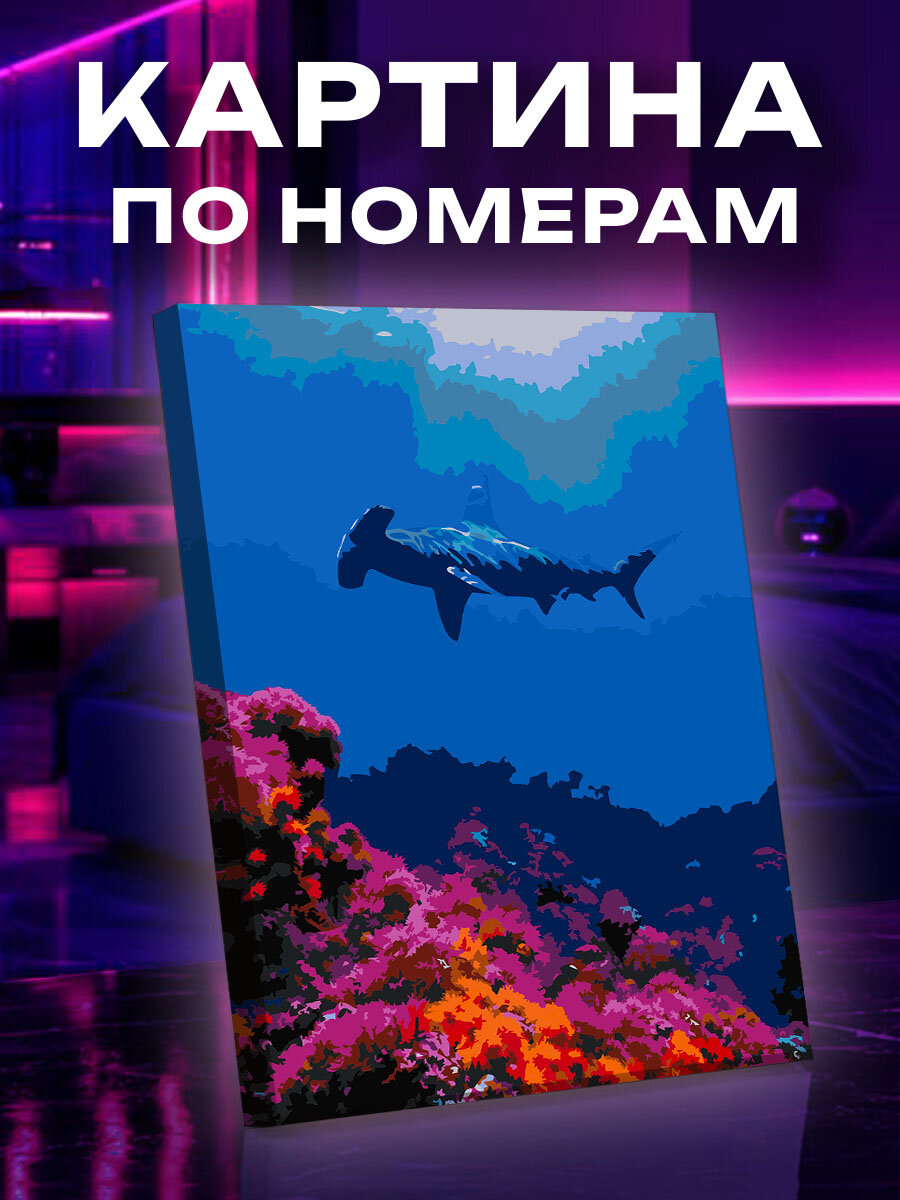 Картина по номерам Акула-молот над коралловой стеной