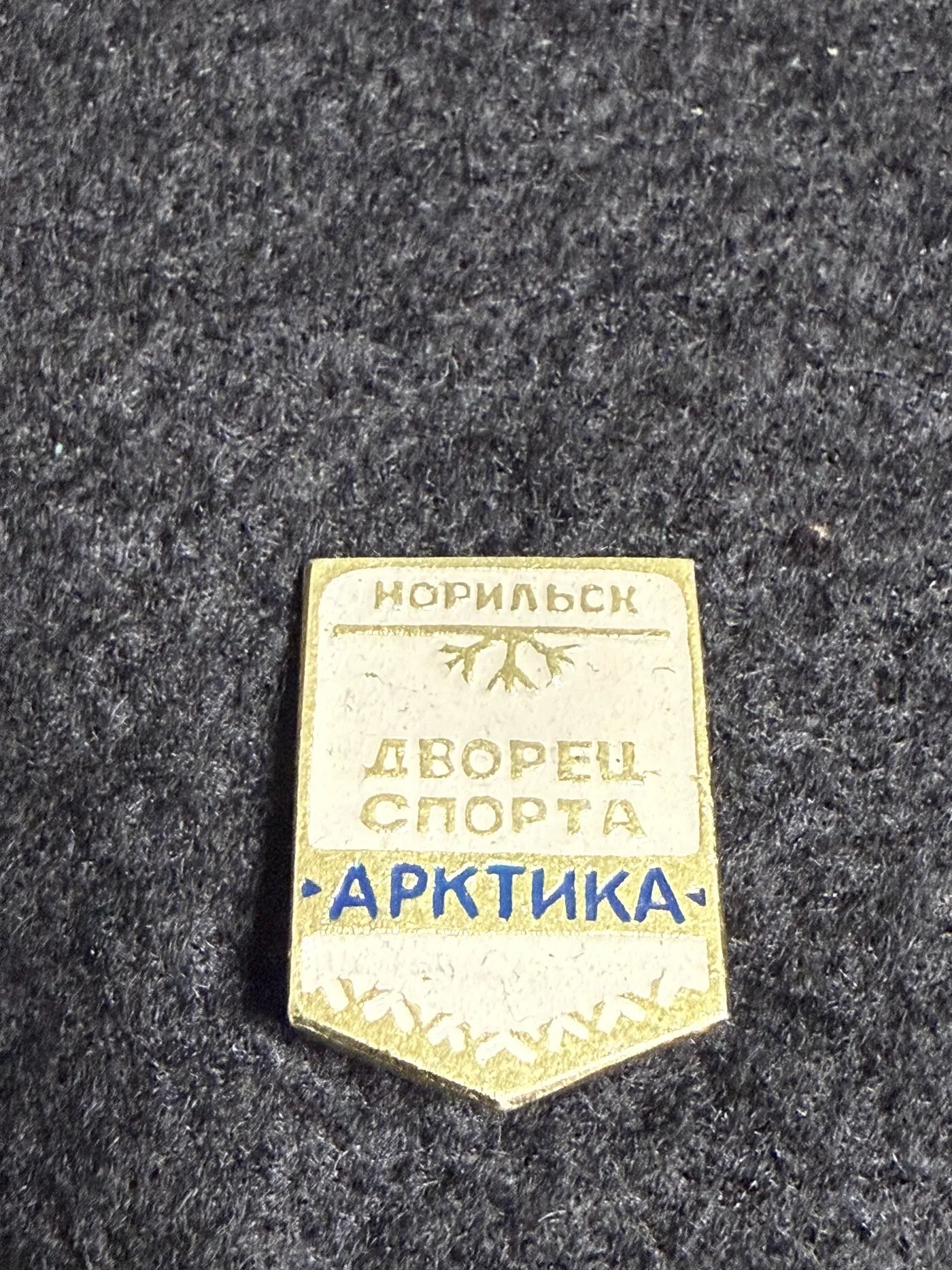 Коллекционный значок Дворец спорта Арктика, Норильск