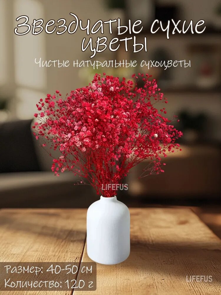 LIFEFUS Сухоцветы гипсофила красные натуральные 40-50 см 120 г