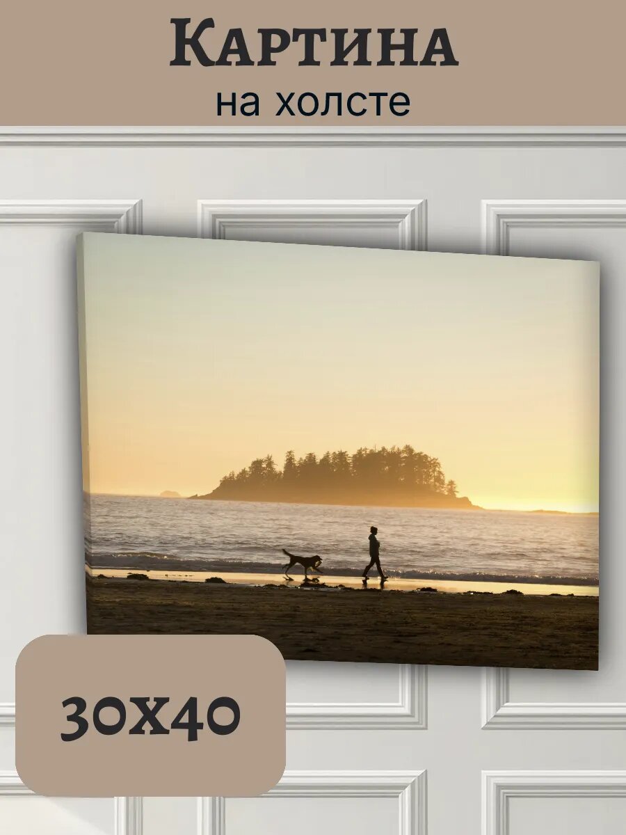 Картина Финляндия Finland 30x40 закатный пейзаж с собакой