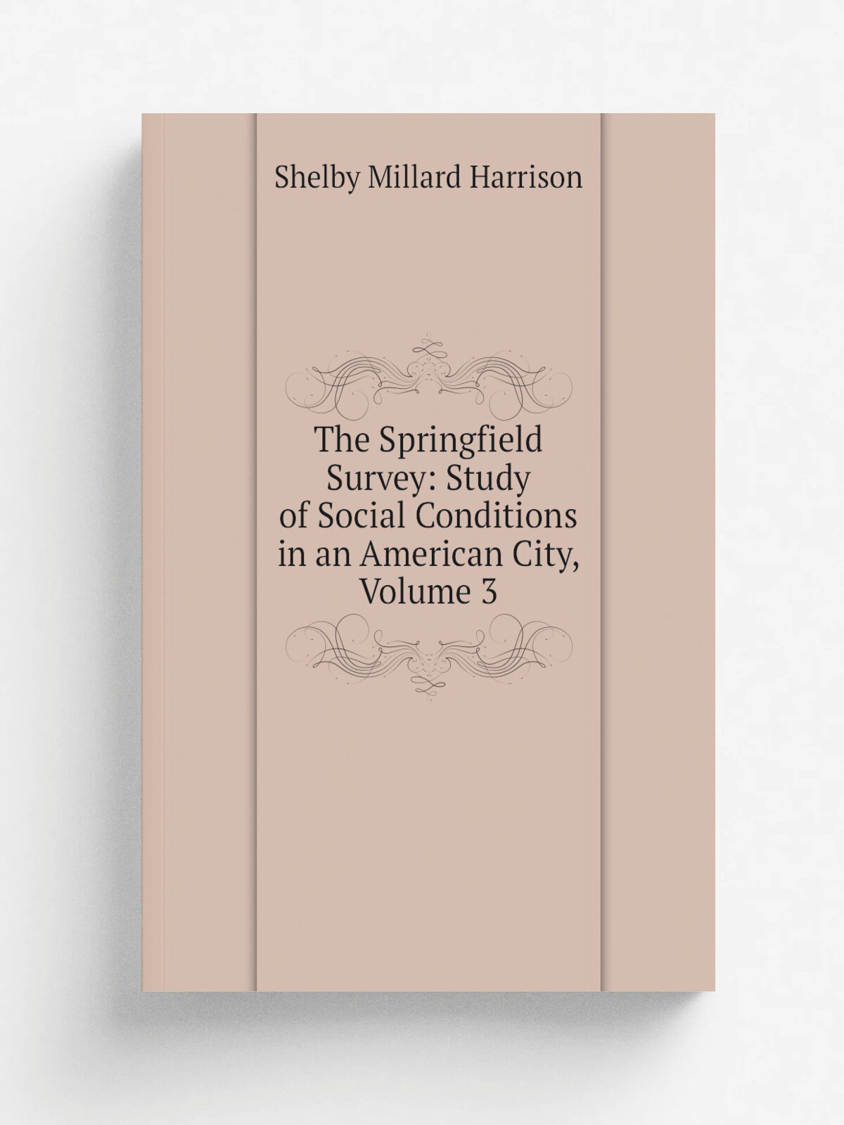 The Springfield Survey: Study of Social Conditions in an American City, Volume 3