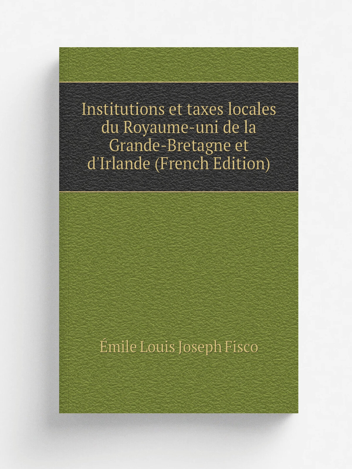 Institutions et taxes locales du Royaume-uni de la Grande-Bretagne et d'Irlande (French Edition) | . mile Louis Joseph Fisco | Репринт
