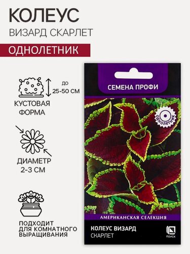 Изображение товара Семена цветов поиск "Колеус Визард Скарлет", низкорослый, однолетний, 10 шт