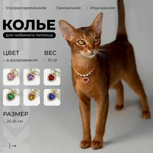 Изображение товара Колье ошейник для кошки и собаки с кулоном вишенки 25-35см