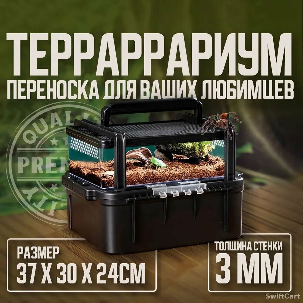 Эксклюзивный инсектарий