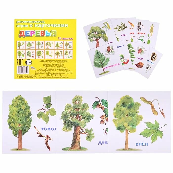 Развивающие карточки "Деревья" 12 шт. "Леда"