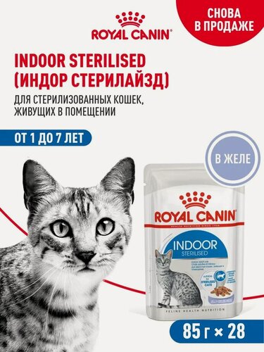 Изображение товара Влажный корм для стерилизованных кошек Royal Canin Indoor Sterilised, для домашних, кусочки в желе, 28 шт по 85 г
