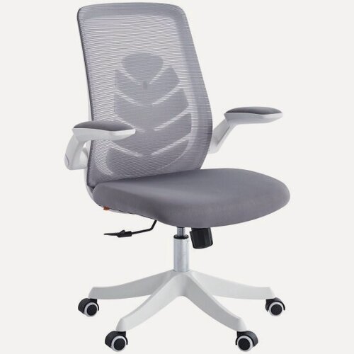 Изображение товара Кресло офисное Chairman CH565 белый пластик, серый