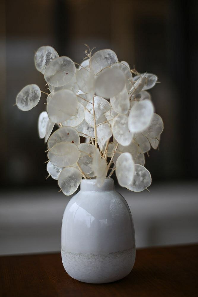 Композиция в керамической вазе с великолепной лунарией.