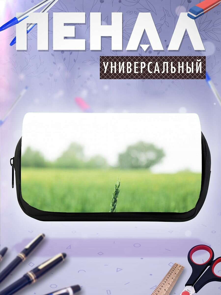 Школьный пенал поле пшеница