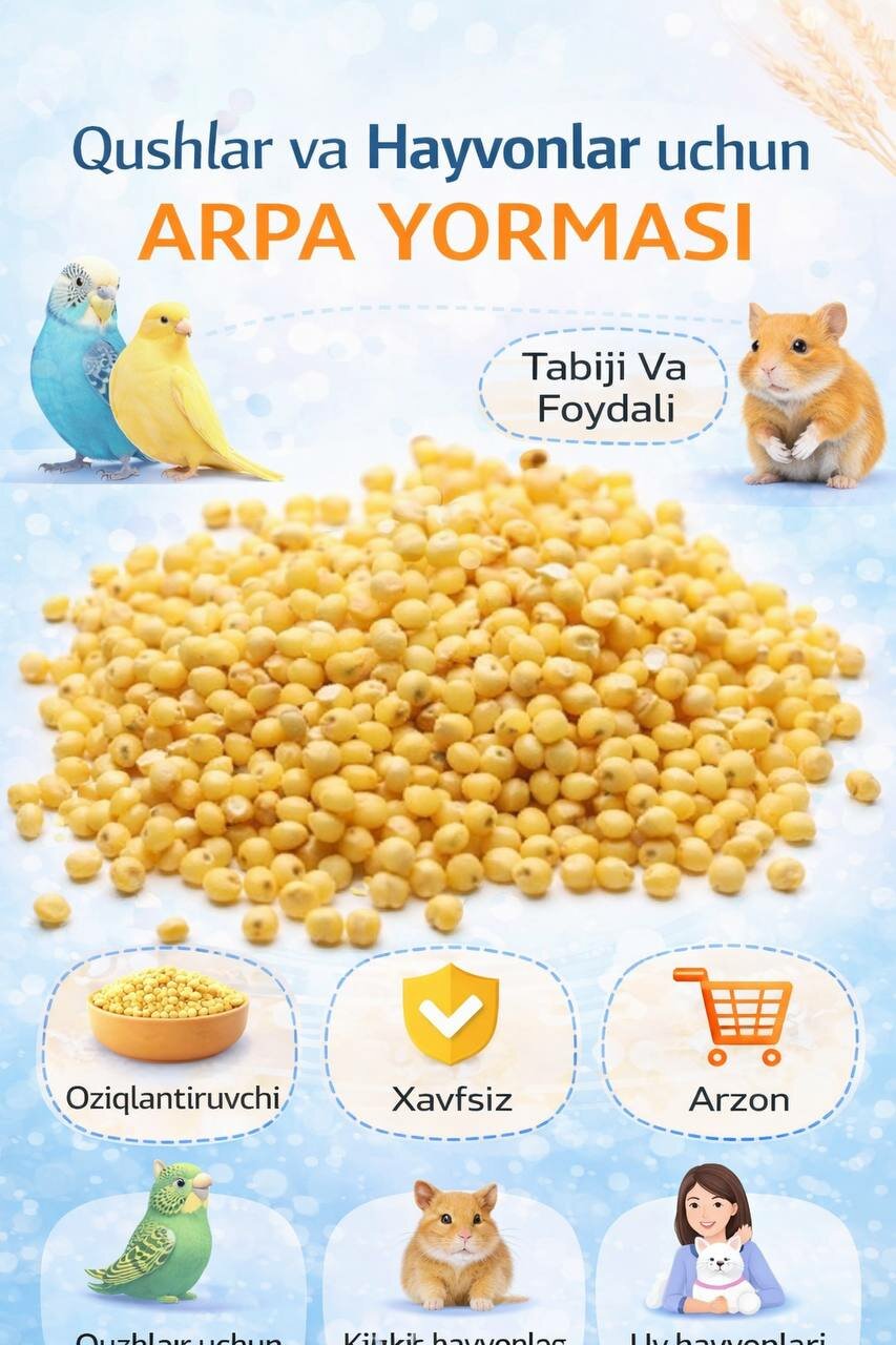 Пшено для цыплят – чистый и легкоусвояемый корм для цыплят