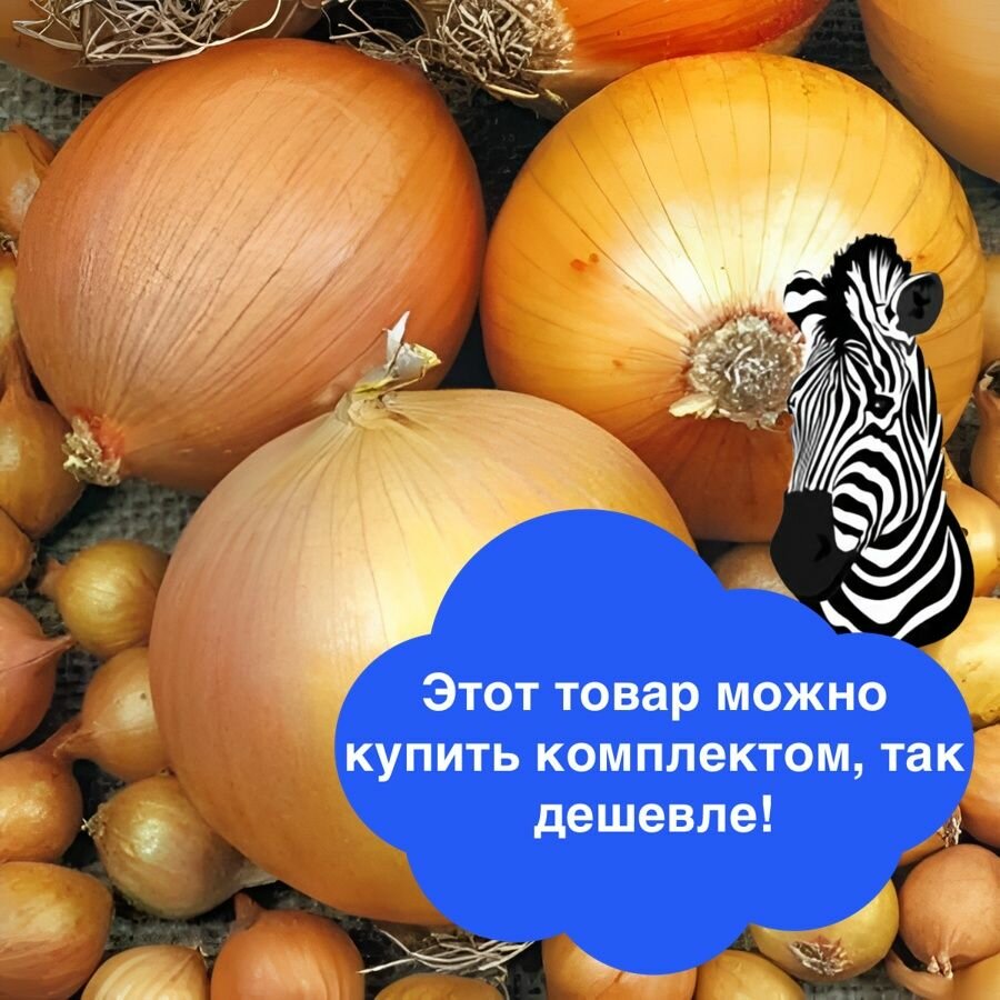 Лук-севок Шетана МС 22/30 1 кг