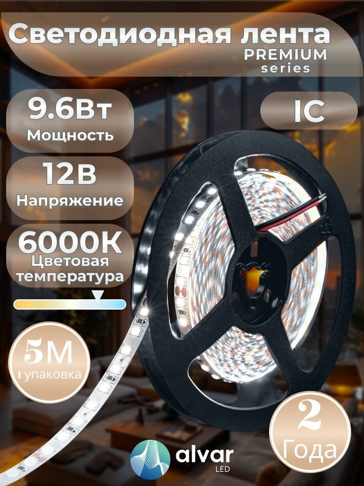 PREMIUM 12В 9.6Вт IC 6000К холодная IP20 2835 120 LED светодиодная лента (в упаковке 5 метров)