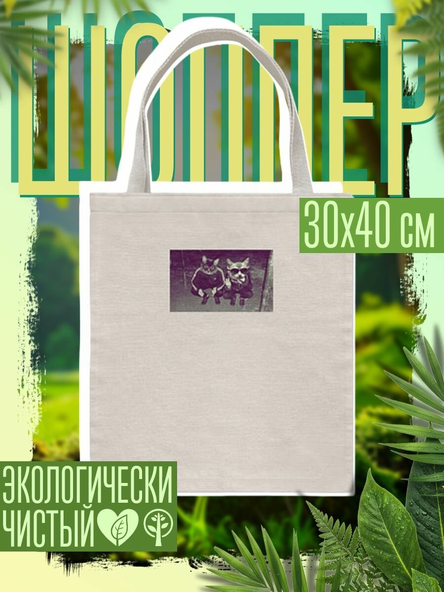 Сумка шоппер женская Два кота в очках на кортах