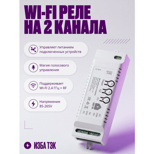 фото Умное реле wi-fi+rf на 2 канала, контроллер, 85-265в, 10а, с сухим контактом, в корпусе izba tech