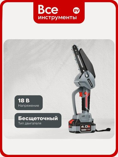 Изображение товара Аккумуляторная бесщеточная цепная пила Profipower MKGST-18V (Li-ion-2шт, 2.0Ач, 0-4500 об/мин, З/У, коробка) E0097