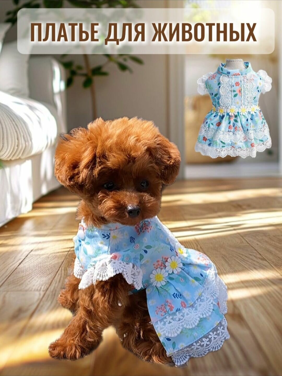 Платье с кружевами для животных голубой М