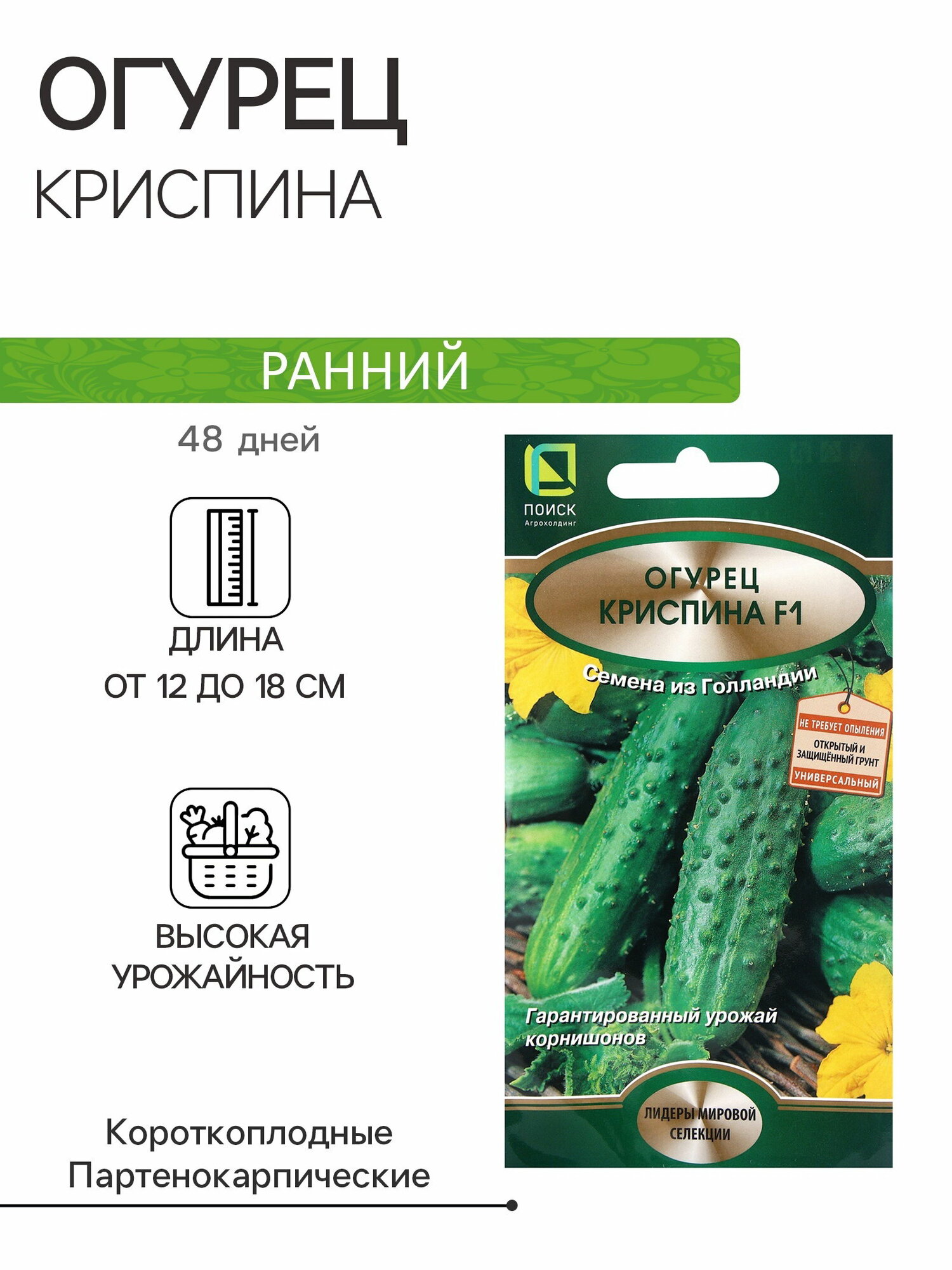 Семена Огурец Криспина F1 12шт вид: партенокарпические место выращивания: открытый грунт