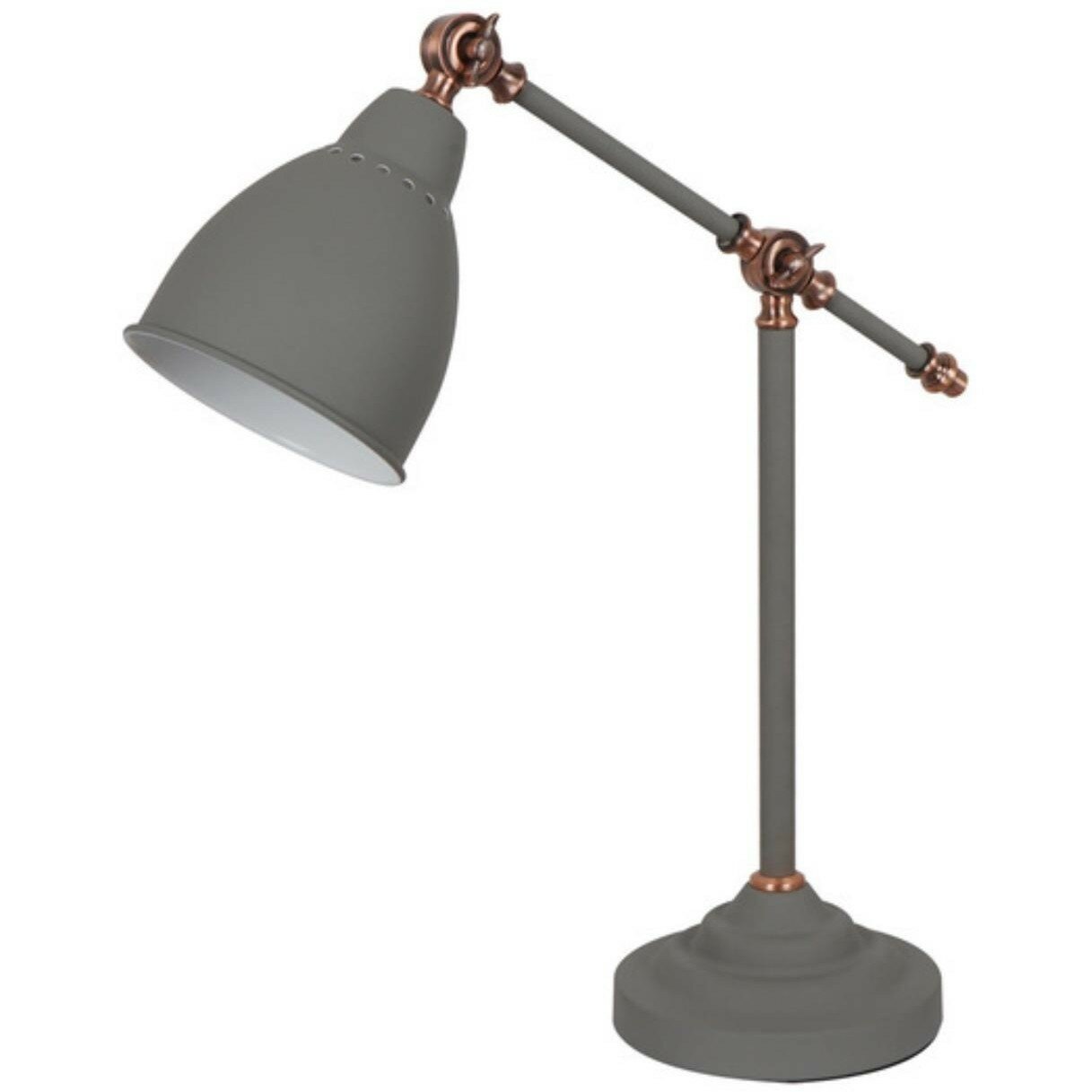 Декоративная настольная лампа IP20 Arte Lamp BRACCIO A2054LT-1GY