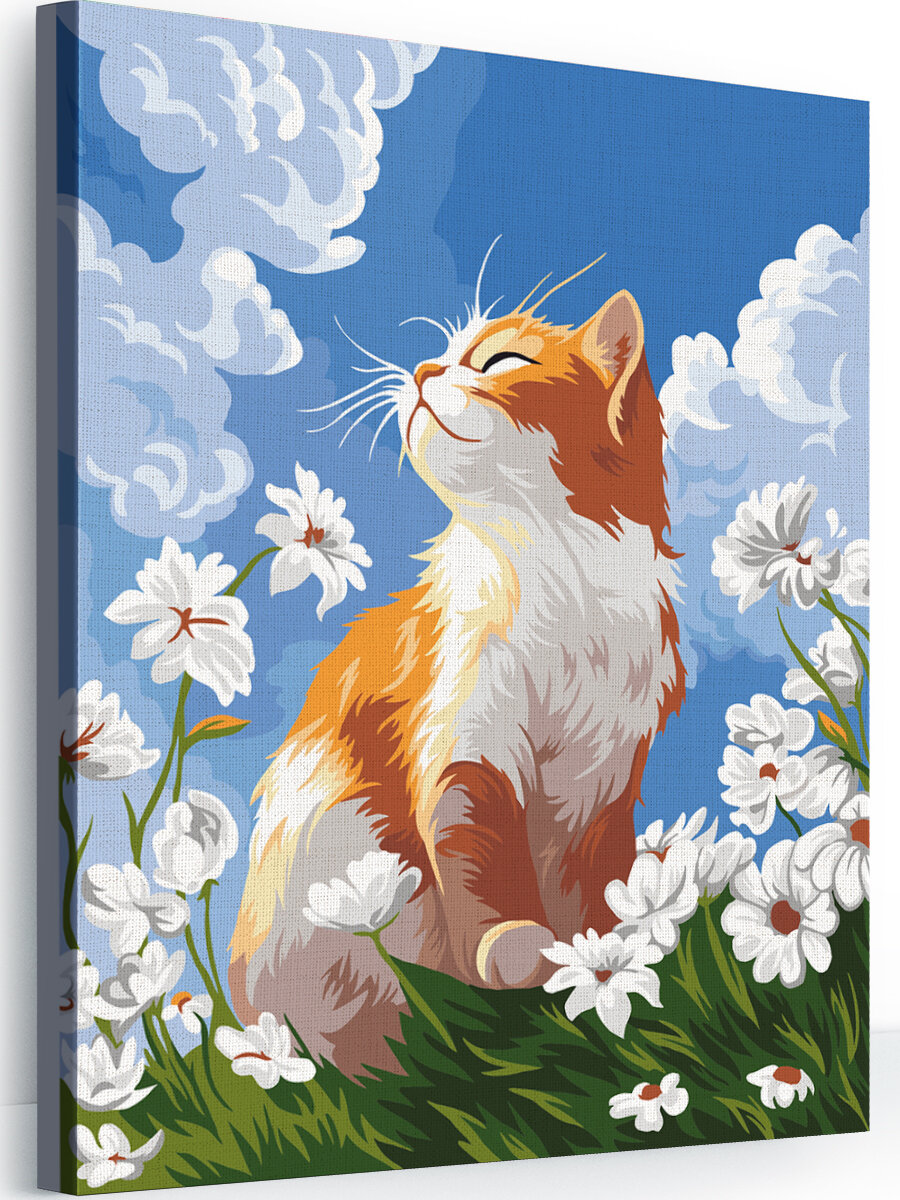 Картина по номерам на холсте с подрамником 40х50 см. В ромашках