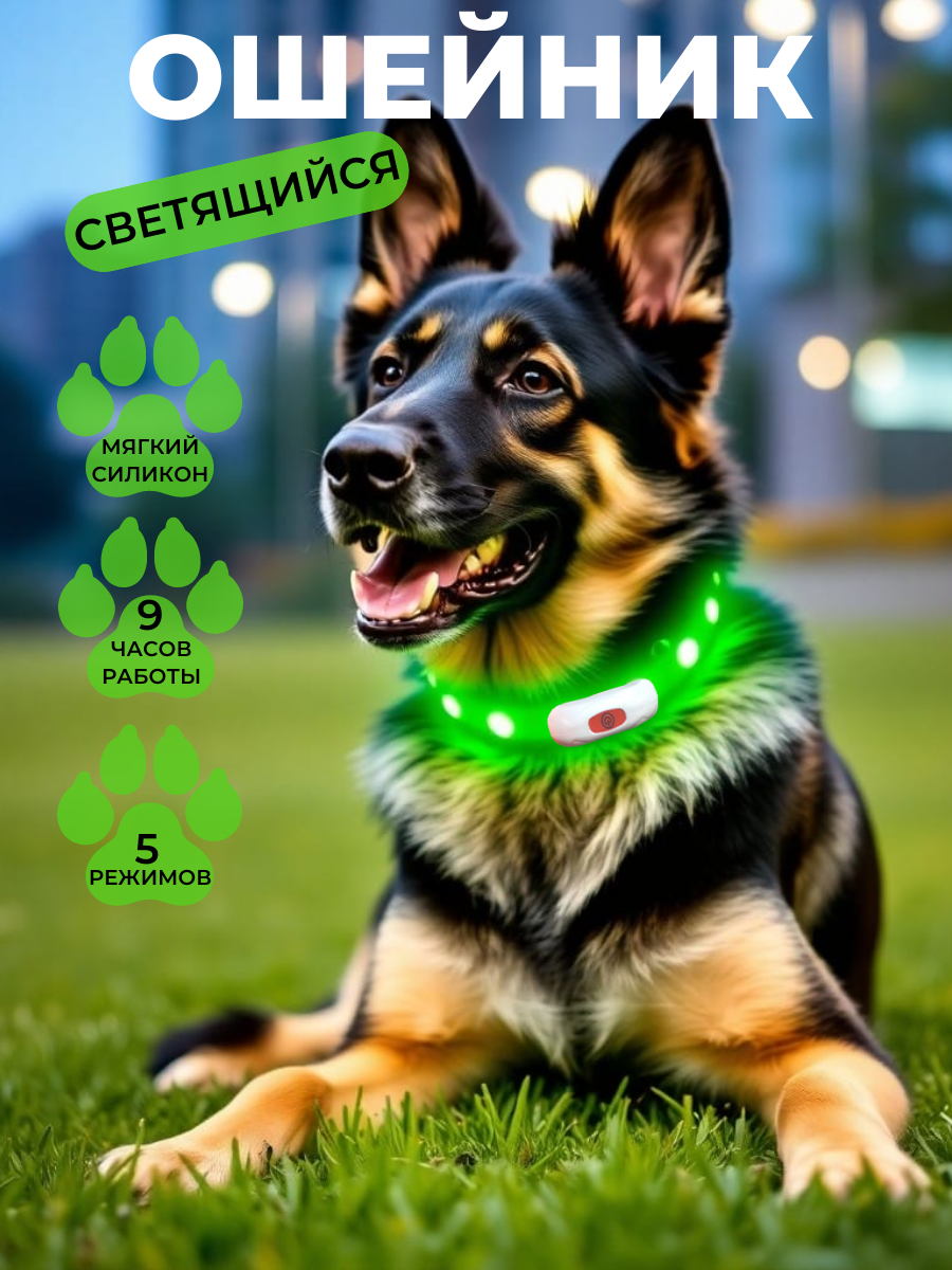 Ошейник BOOMBOOM Shop, светодиодный, USB-зарядка, размер L зеленый, регулирующийся, водостойкий