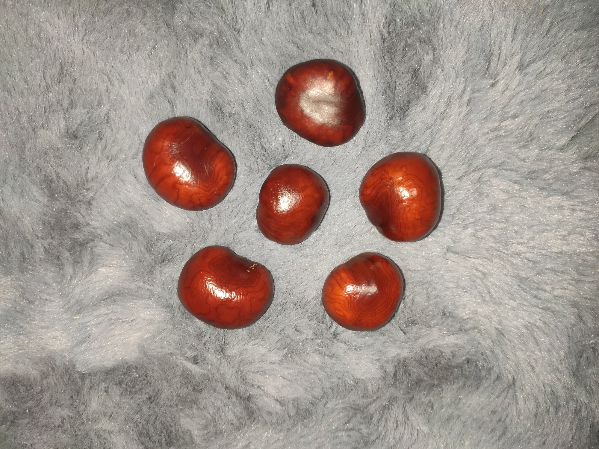 Каштаны натуральные