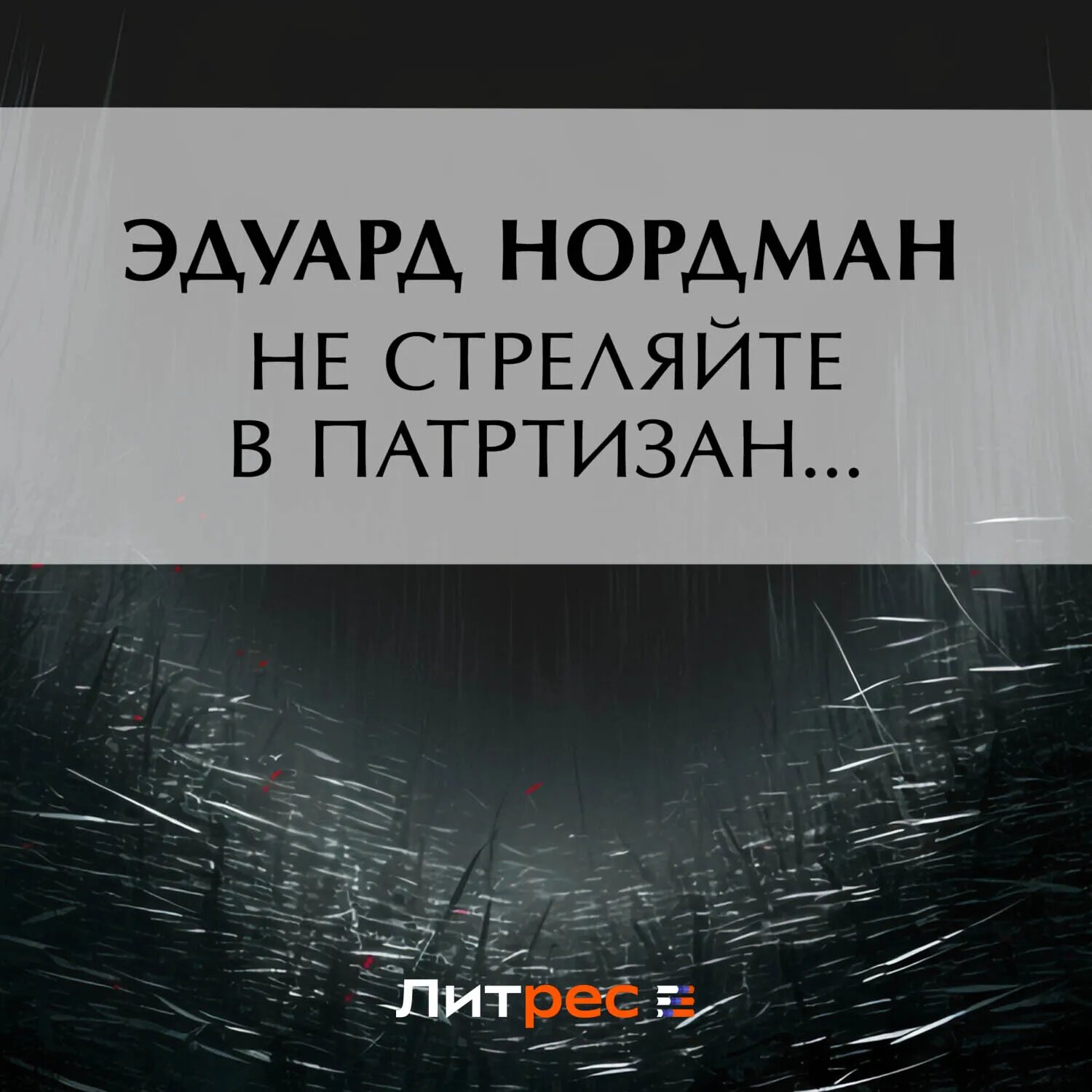 Не стреляйте в партизан… [Аудиокнига]