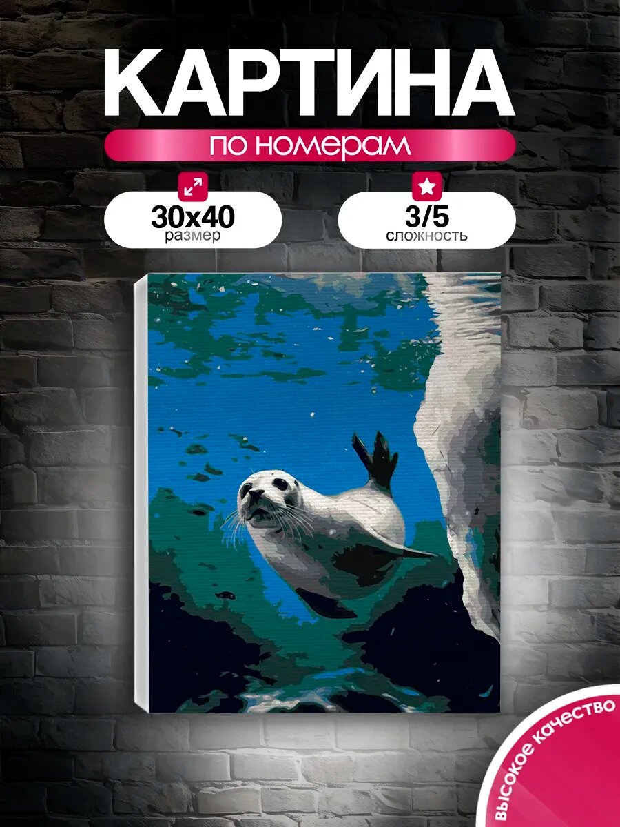 Картина по номерам 30x40 Любопытный тюлень