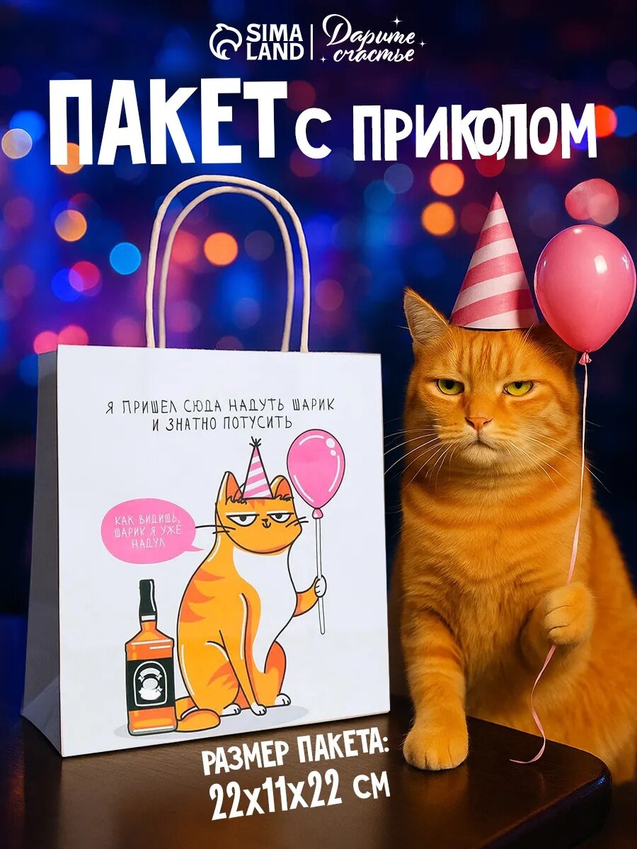 Пакет подарочный с приколом «Туса», 22 × 22 × 11 см, для упаковки подарка