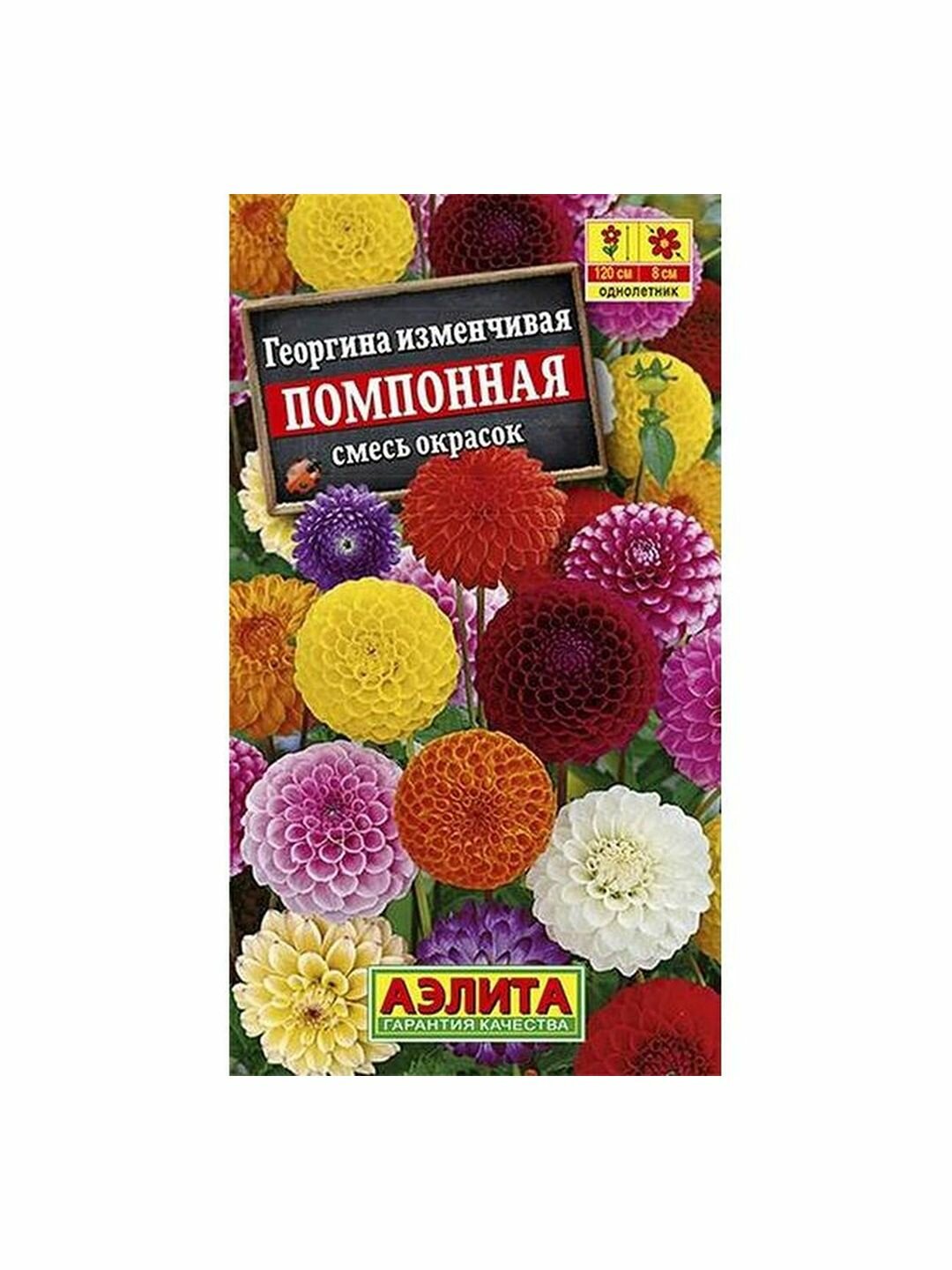 Семена Георгина Помпонная смесь однолетник Аэлита 1 пачка - 0.3г семян