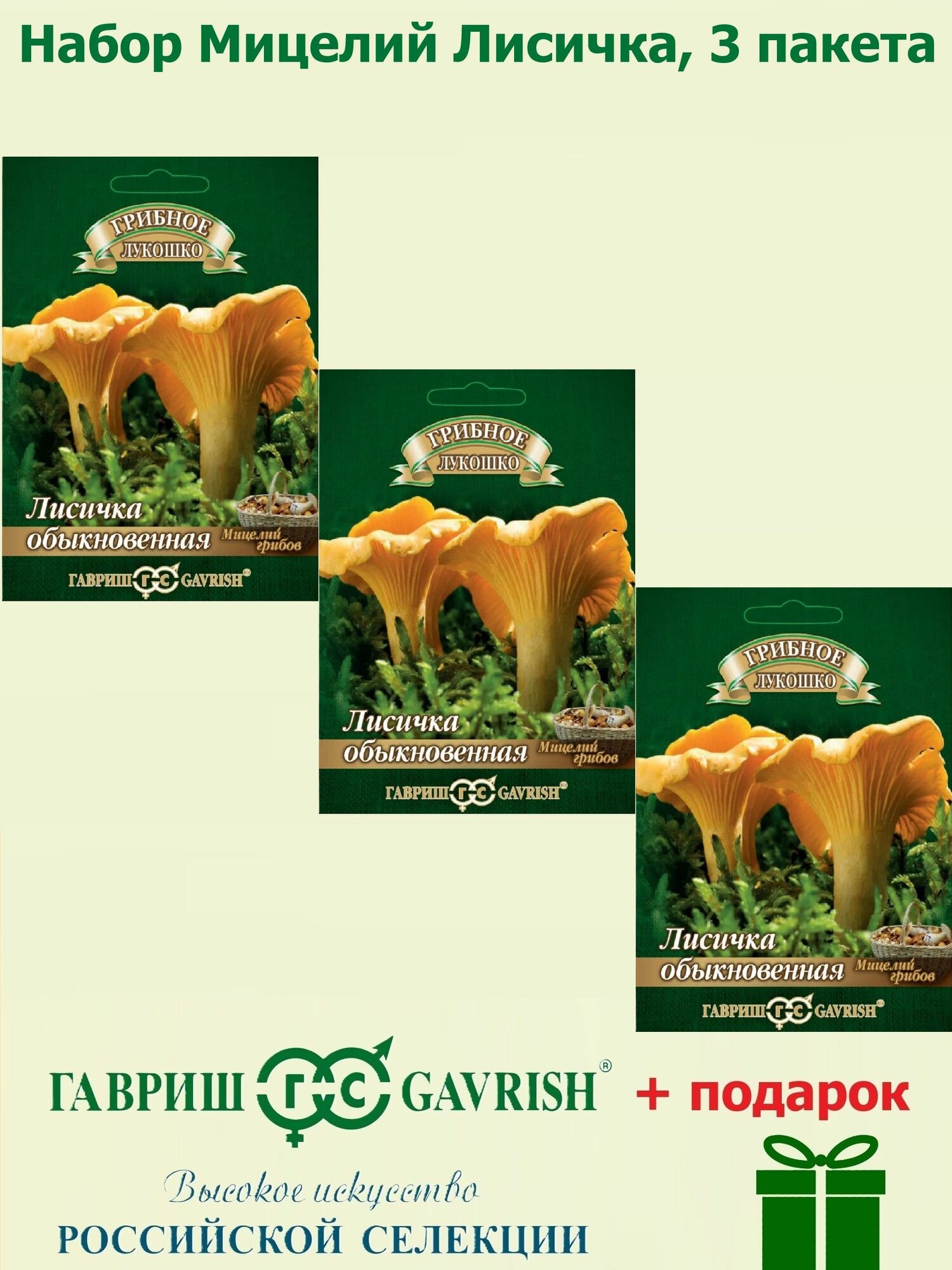Набор Мицелий Лисичка на зерновом субстрате 3 пакета Гавриш