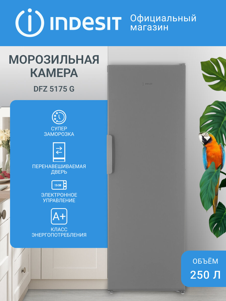 Морозильная камера Indesit DFZ 5175 G No Frost серебристый