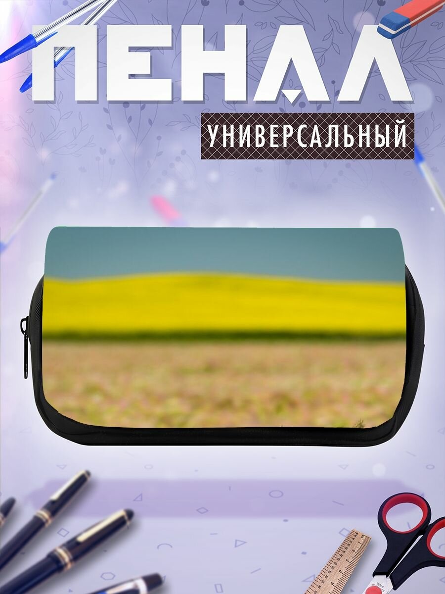 Школьный пенал пшеница поле
