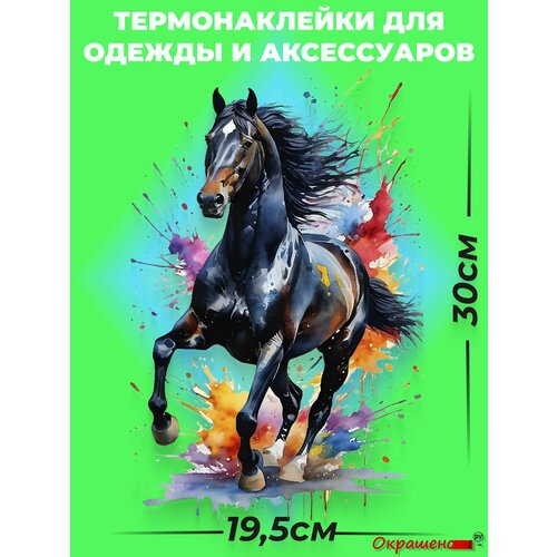 фото Термонаклейка / термотрансфер для декора одежды и аксессуаров "конь в красках" окрашенору