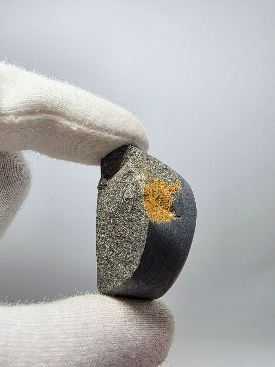 Аммонит перламутровый в породе 36 мм, 43 г. — фото 1