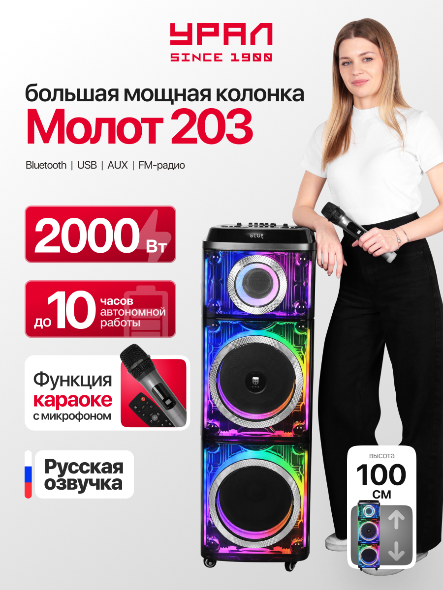 Портативная колонка Урал Молот 203 с микрофоном 2 динамика FM-радио PowerBank черная