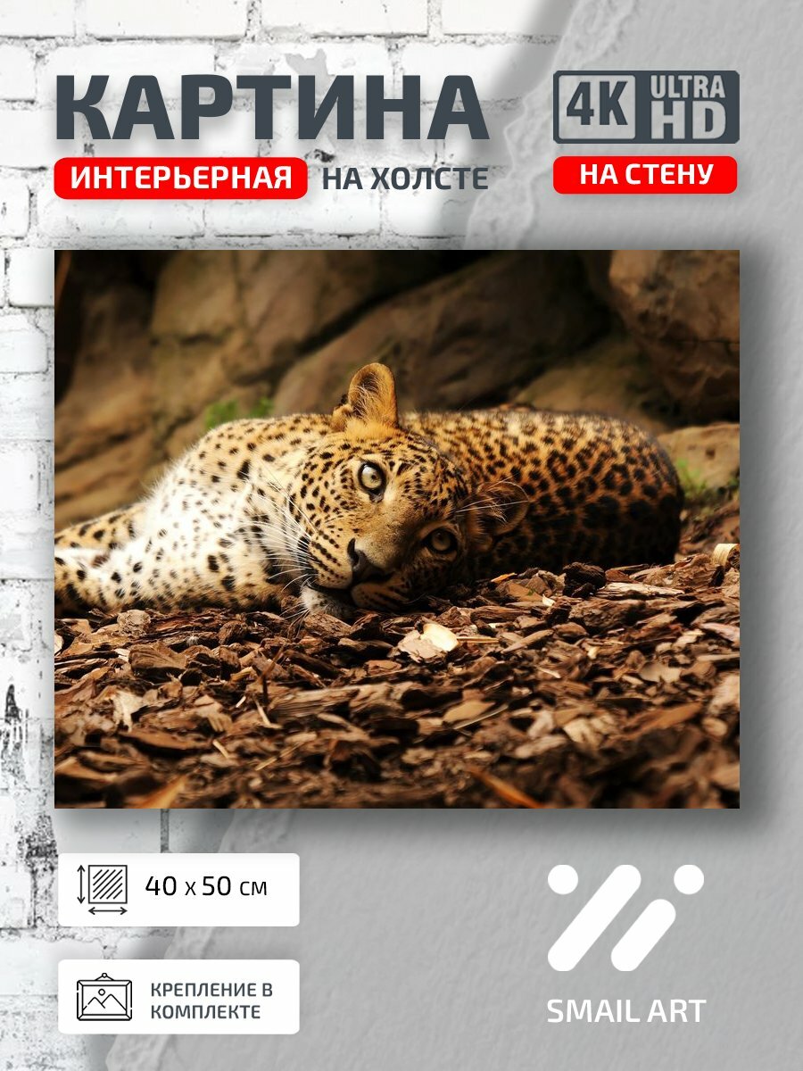 Картина на холсте интерьерная 40 на 50 на стену Земле Mood для гостиной атмосфера интерьер