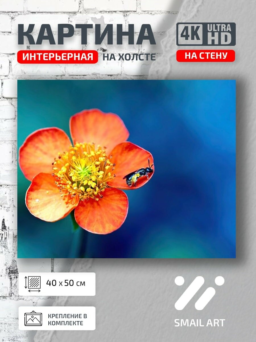 Картина на холсте интерьерная 40 на 50 на стену Опыление пчелами для студии атмосфера