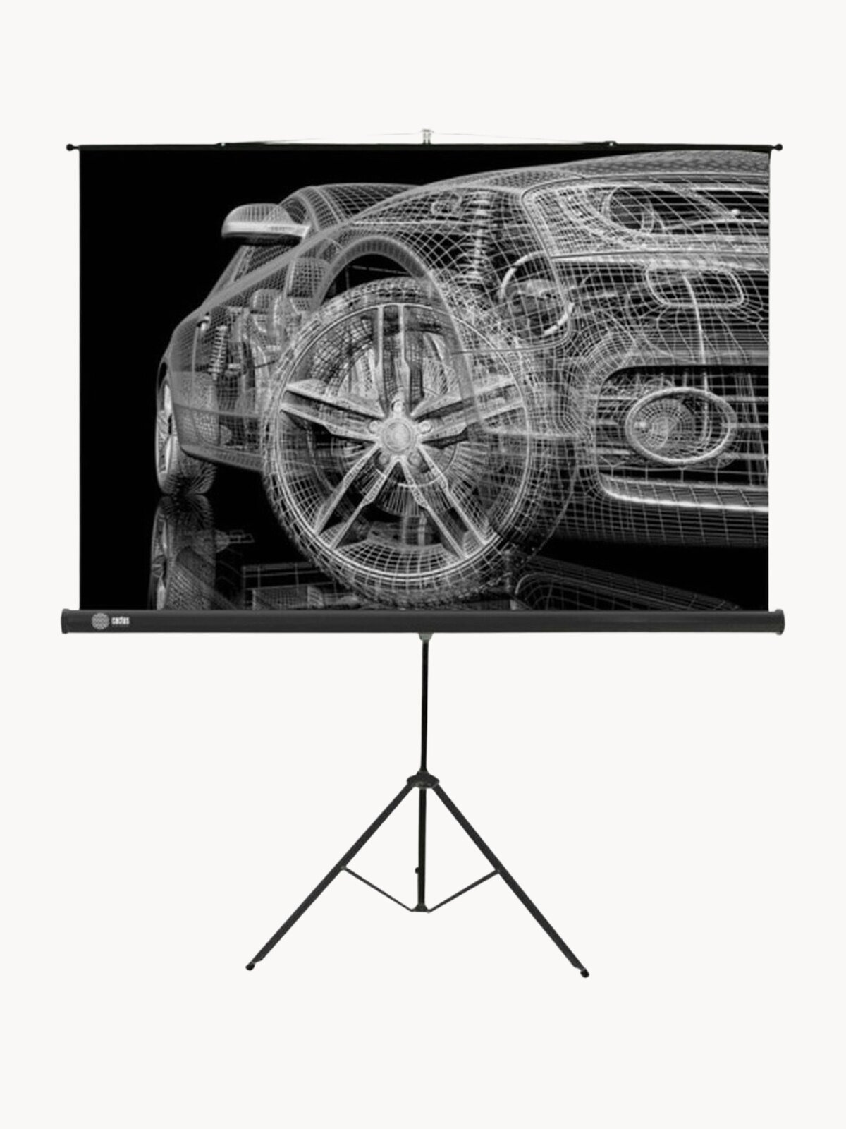 Экран Cactus 124.5x221см Triscreen CS-PST-124x221 16:9 напольный рулонный