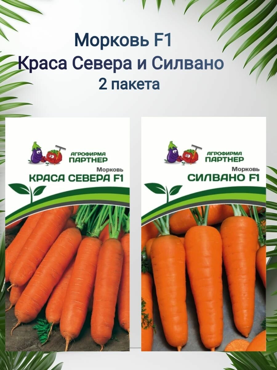 Морковь Краса Севера F1 и Силвано F1 2 пакета по 05г семян