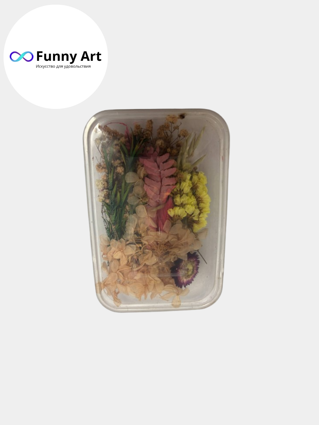 Сухоцветы натуральные для декора и творчества, декоративные цветы, для смолы