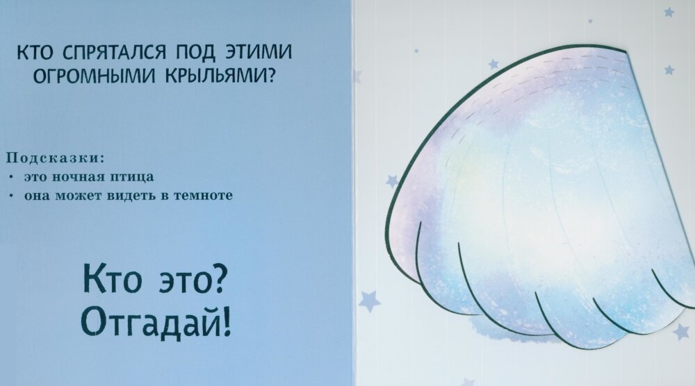 Интерактивные загадки. Кто здесь прячется? (коала). — фото 1