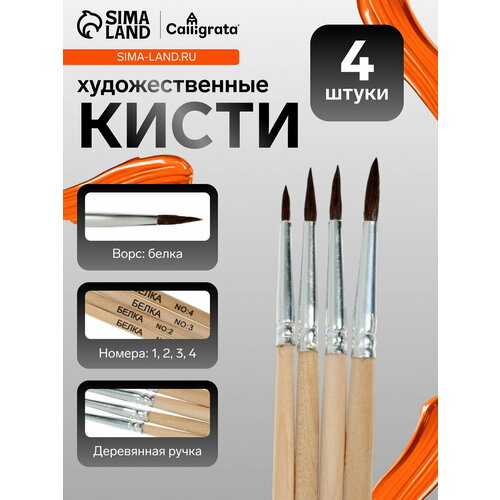 фото Набор кистей белка круглые 4 штуки calligrata