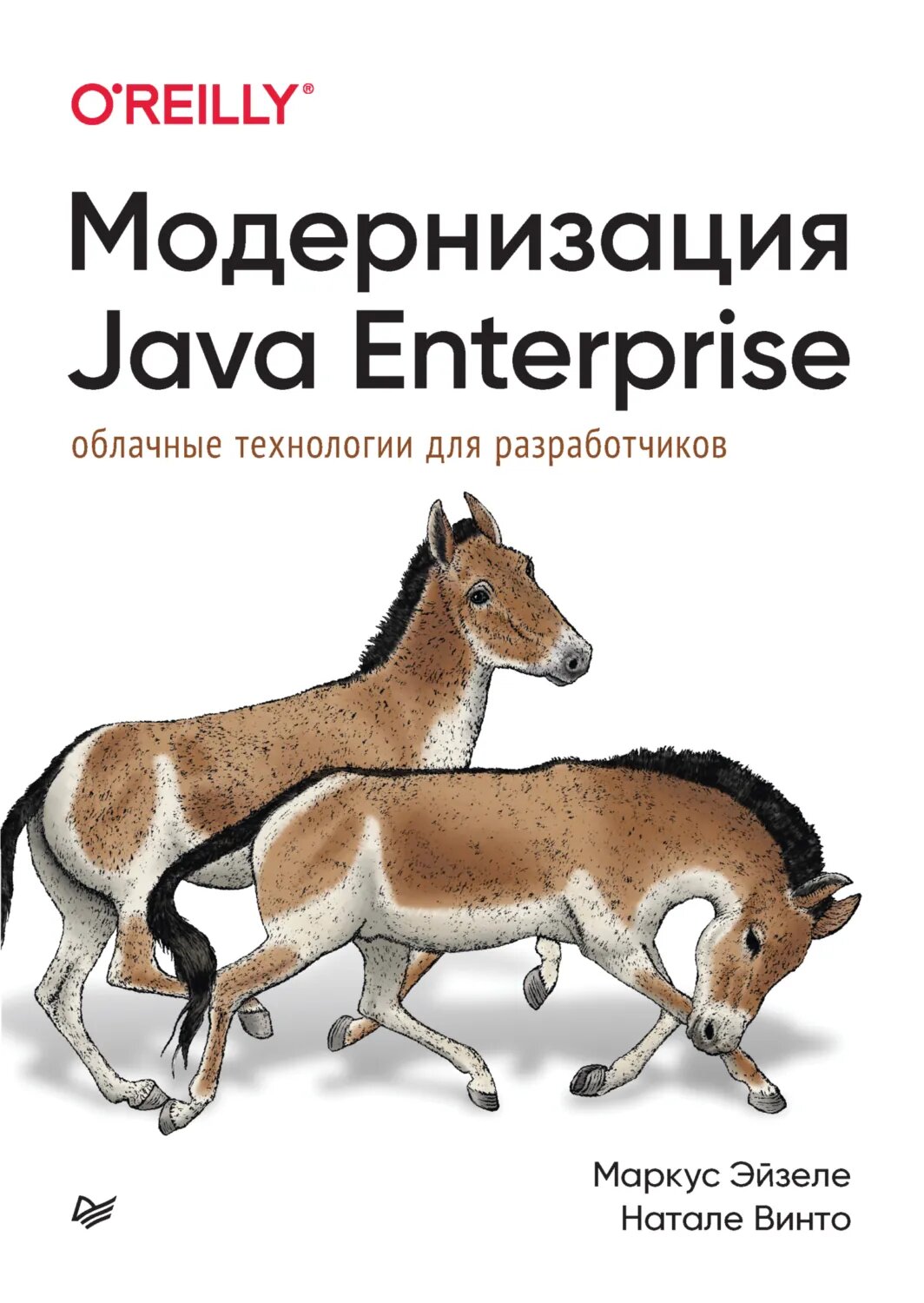 Модернизация Java Enterprise. Облачные технологии для разработчиков (pdf + epub) [Цифровая книга]