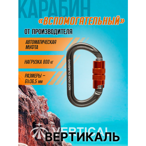 Карабин вспомогательный 