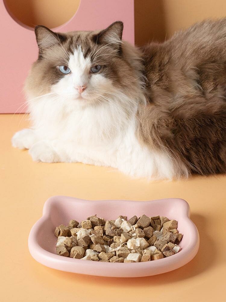 Емкость кошачьей чашки