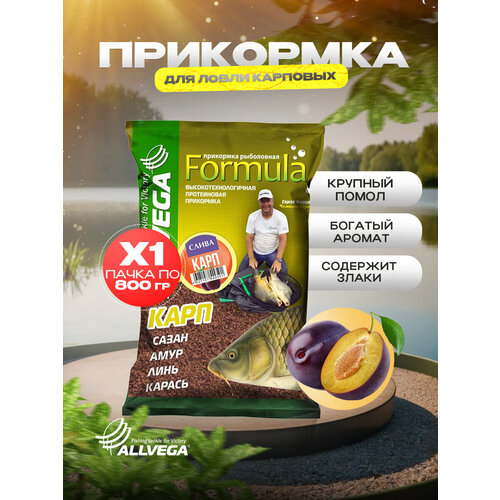 Прикормка ALLVEGA Formula Carp GBF09, 900 г, слива