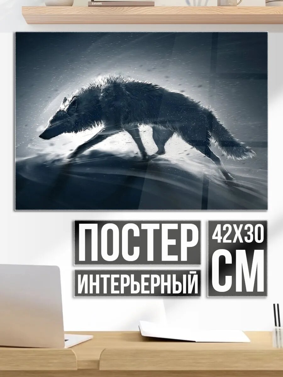 Плакат постер Волк в снегу